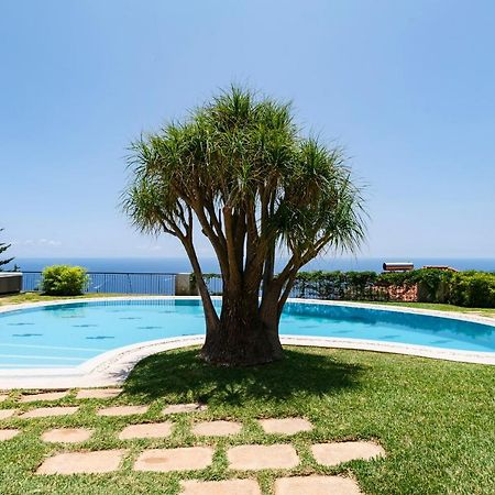 Vila Eucalipto By An Island Apart Funchal Dış mekan fotoğraf
