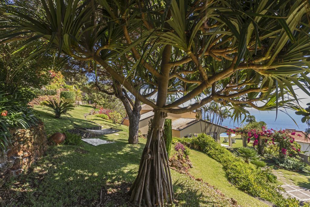Vila Eucalipto By An Island Apart Funchal Dış mekan fotoğraf